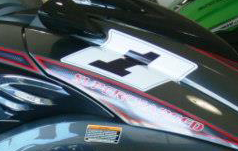 YAMAHA FZ Small